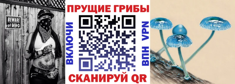 Галлюциногенные грибы Psilocybine cubensis  Выкса 